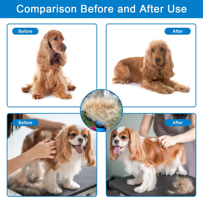 ⏰🔥 50% RABATT – Begränsad tid 🐾 Effektiv pälsborttagare för hund & katt ✨ skonsam, kraftfull & ger ett hårfritt hem 💖