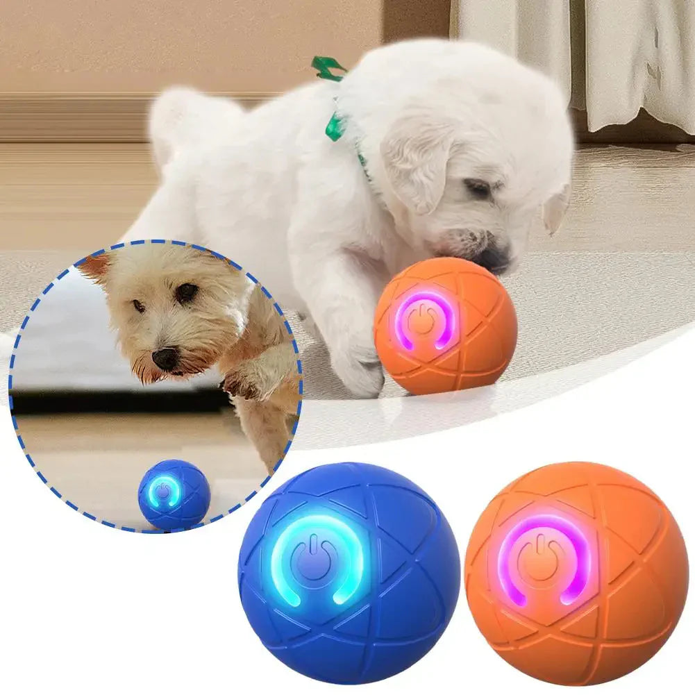🐾 SMART HUSDJURSBOLL MED AUTOMATISK STUDS OCH FJÄRRKONTROLL — 3 interaktiva lägen | Tuggbeständigt E-TPU | Laddbar via USB-C 🎾