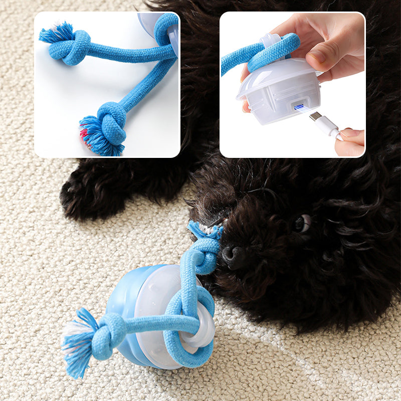 🐾 50% RABATT! 🎾 Interaktiv Elektronisk Boll för Husdjur – Automatisk Rörelse, Tuggmotståndskraftig & Lugnande för Katter/Hundar 🐱🐶📦
