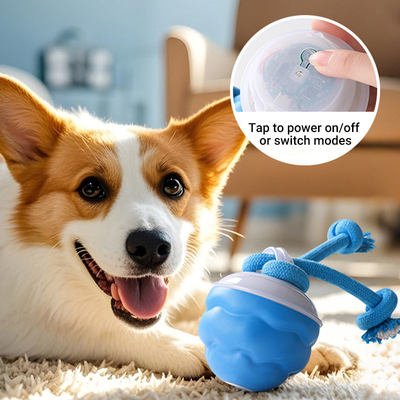 🐾 50% RABATT! 🎾 Interaktiv Elektronisk Boll för Husdjur – Automatisk Rörelse, Tuggmotståndskraftig & Lugnande för Katter/Hundar 🐱🐶📦