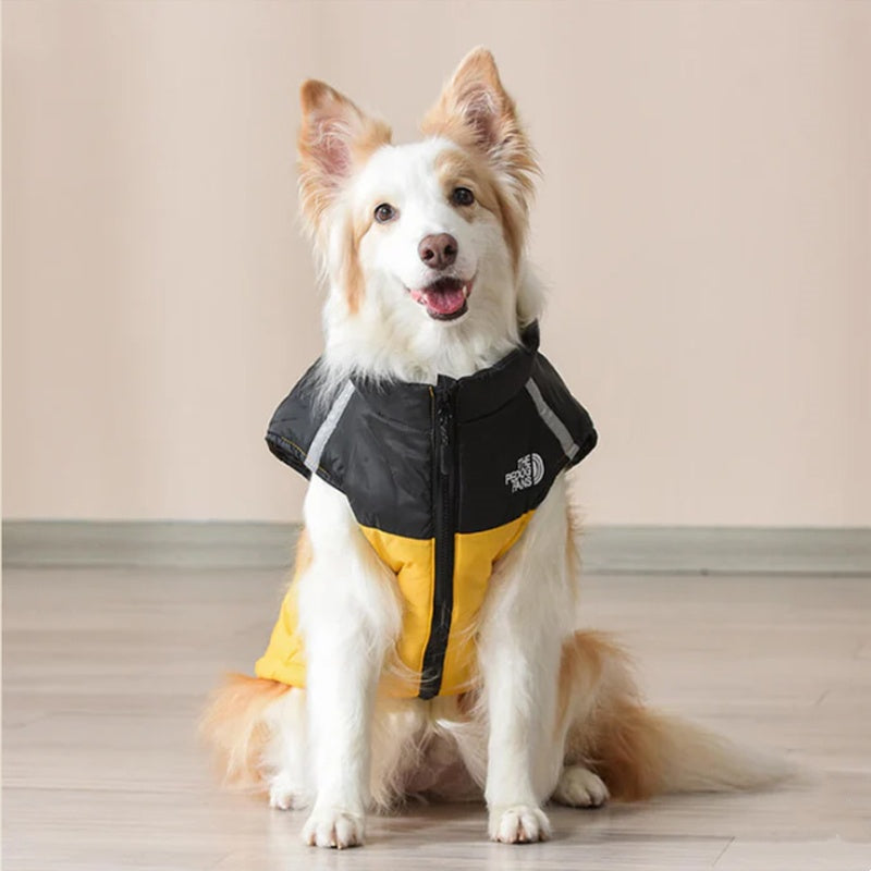 🐶Varm vinterjacka med huva för hundar