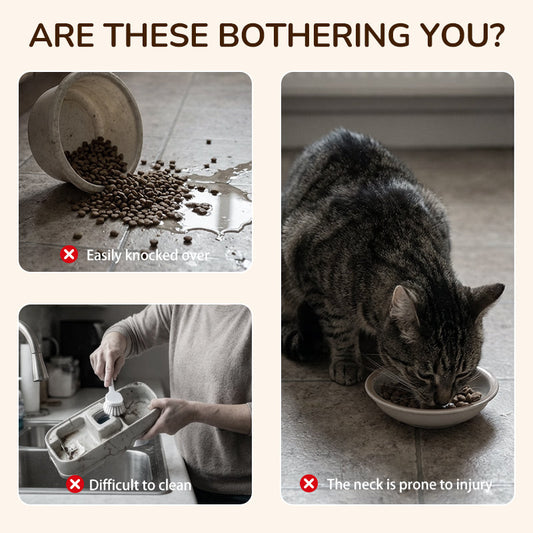 Upphöjd hund- och kattmatskål med 3 skålar – halkfri och stabil 🐾🥣