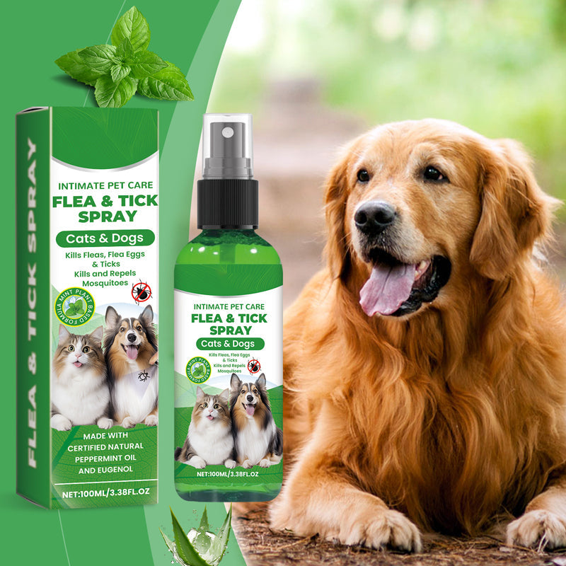 💥 MEGA DEAL: KAUF 2, ERHALTE 1 GRATIS 🎁 Natürlicher Lopp- & Fästingspray 🐶🐱 schützt effektiv & schonend 🌿