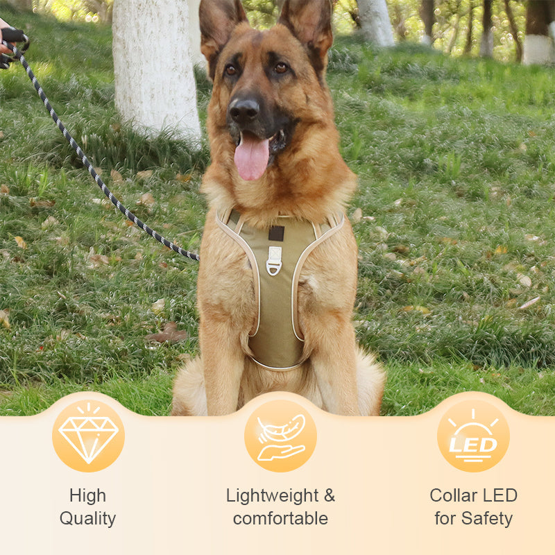 🐕🌿 50% RABATT 🔦 Bekväm dragfri hundsele med LED-ljus – designad för tryggare och lugnare promenader 💡