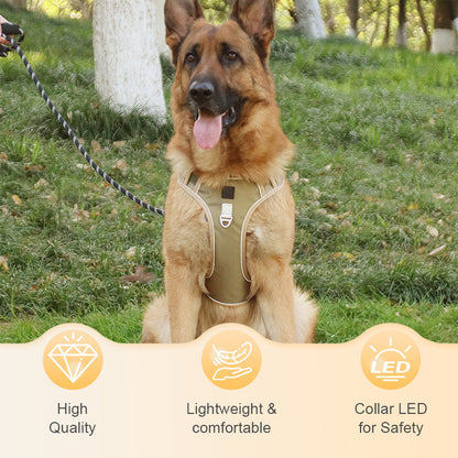 🐕🌿 50% RABATT 🔦 Bekväm dragfri hundsele med LED-ljus – designad för tryggare och lugnare promenader 💡