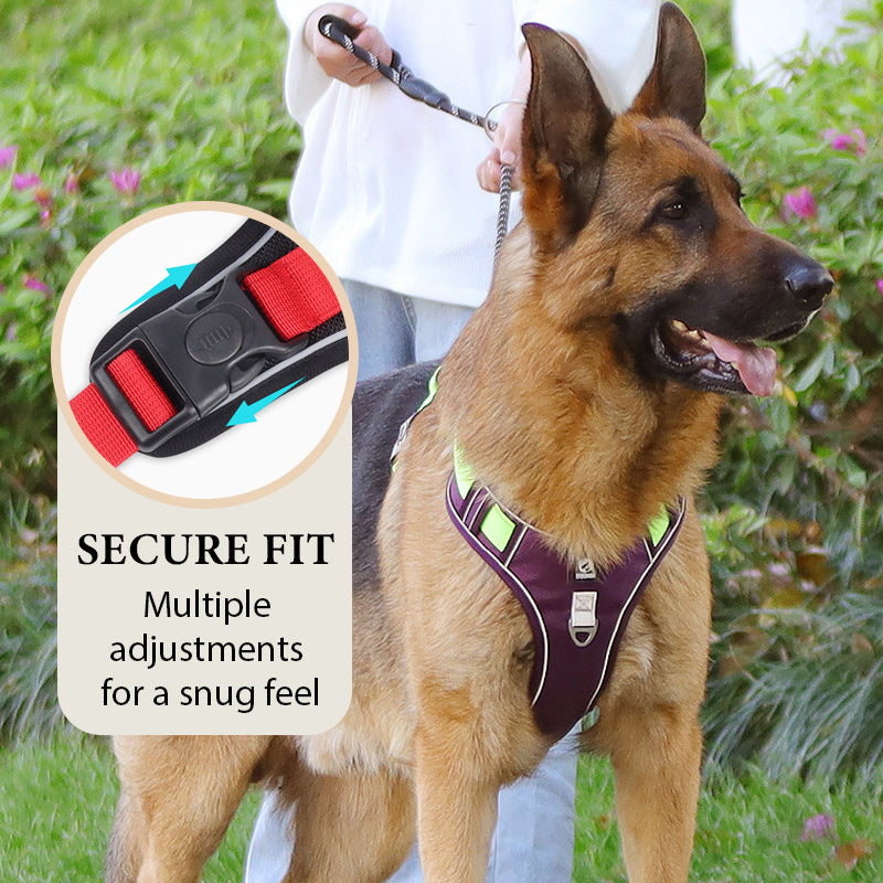 🐕🌿 50% RABATT 🔦 Bekväm dragfri hundsele med LED-ljus – designad för tryggare och lugnare promenader 💡