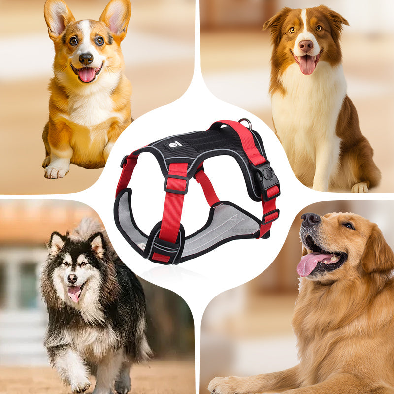 🐕🌿 50% RABATT 🔦 Bekväm dragfri hundsele med LED-ljus – designad för tryggare och lugnare promenader 💡