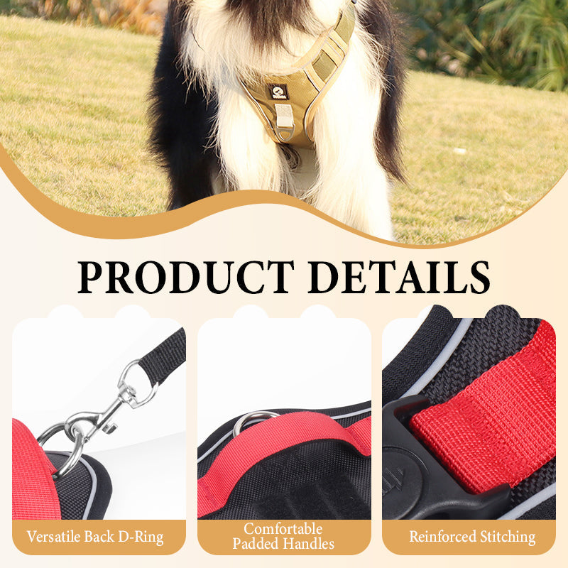 🐕🌿 50% RABATT 🔦 Bekväm dragfri hundsele med LED-ljus – designad för tryggare och lugnare promenader 💡