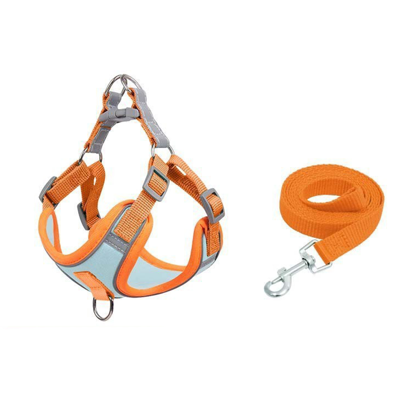 🐕🦺 50% RABATT ✨ Trygg och bekväm vardag med din hund 🌿 Justerbar vadderad hundsele + koppel – rymningssäker & mjuk komfort 💎