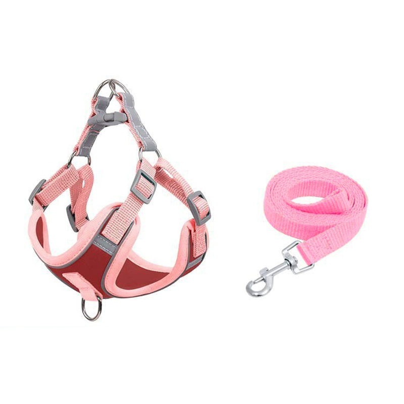 🐕🦺 50% RABATT ✨ Trygg och bekväm vardag med din hund 🌿 Justerbar vadderad hundsele + koppel – rymningssäker & mjuk komfort 💎