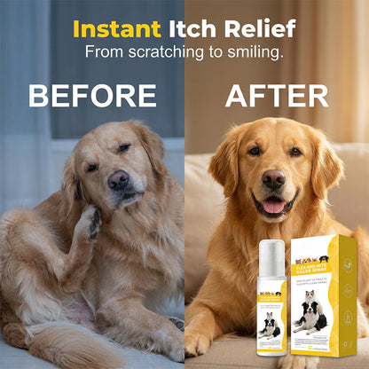 🔥🎁 50% rabatt 🌿 Skonsam spray mot skadedjur för husdjur 🐾 Trygg, effektiv & perfekt för hem med djur ✨
