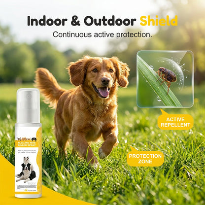 🔥🎁 50% rabatt 🌿 Skonsam spray mot skadedjur för husdjur 🐾 Trygg, effektiv & perfekt för hem med djur ✨