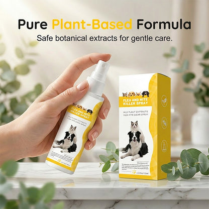 🔥🎁 50% rabatt 🌿 Skonsam spray mot skadedjur för husdjur 🐾 Trygg, effektiv & perfekt för hem med djur ✨