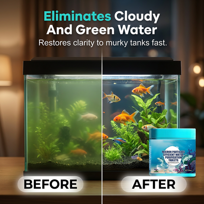 💎 50% RABATT 🐟 Friskare akvarium på nolltid 🌿 Effektiva vattenreningstabletter – enkel skötsel för varje fiskägare ✨