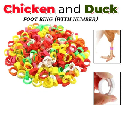 💥 50% RABATT 🐔 Smarta snäppband för höns & fjäderfä 🔧 mjukt plastmaterial, lätt att använda & tydlig märkning ✨