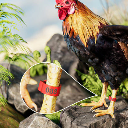 💥 50% RABATT 🐔 Smarta snäppband för höns & fjäderfä 🔧 mjukt plastmaterial, lätt att använda & tydlig märkning ✨