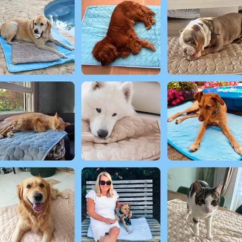 ❄️🐶 50% rabatt ✨ Kylmatta för hundar – håller din hund sval & bekväm under varma sommardagar 🌿
