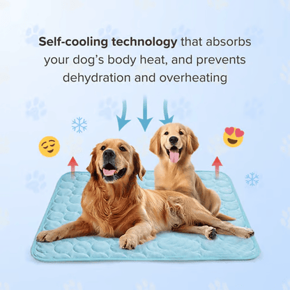 ❄️🐶 50% rabatt ✨ Kylmatta för hundar – håller din hund sval & bekväm under varma sommardagar 🌿