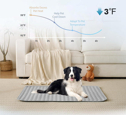 ❄️🐶 50% rabatt ✨ Kylmatta för hundar – håller din hund sval & bekväm under varma sommardagar 🌿