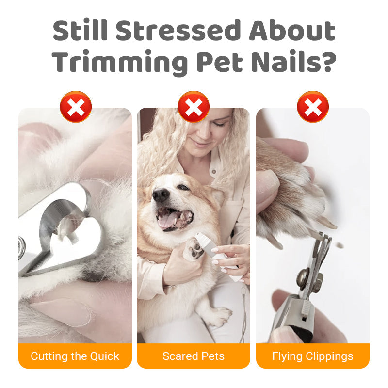 🔥 50% RABATT 🐾 Trä-nagelfil för husdjur ✨ Skonsam tassvård med utbytbara filytor – mindre stress för både dig och ditt husdjur 🏡