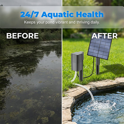 🔥 50% RABATT 🐟 Solcellsdriven dammluftare med inbyggd luftpump ☀️ Syresätt vattnet effektivt – utan elkostnader 🌿