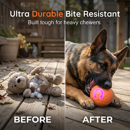 🐾 SMART HUSDJURSBOLL MED AUTOMATISK STUDS OCH FJÄRRKONTROLL — 3 interaktiva lägen | Tuggbeständigt E-TPU | Laddbar via USB-C 🎾